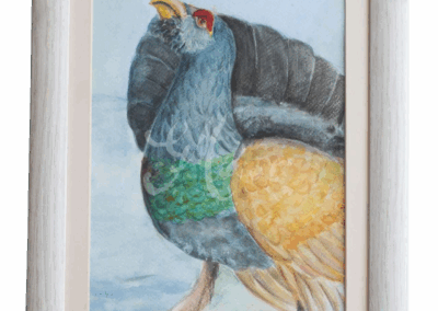 Dürrögő fajdkakas Kép méret: 40*32 cm Technika: aqurelle, akvarell, vadász festmény