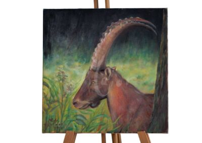 Tátrai bak Kép méret: 40*40 cm Technika: olaj vásznon