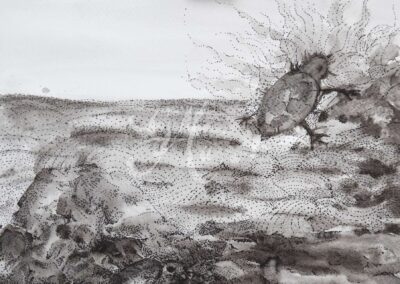 Teknősök – átlépési pont, grafika Kép méret: 40*32 cm Technika: lavírozott tusrajz