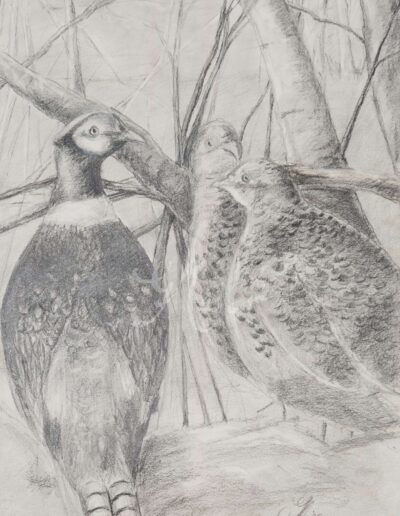 Hideg reggel – fácánok, természetkép Kép méret: 40*32 cm Technika: grafika, ceruza