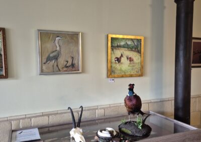 Hunor Vadászbolt és Múzeum kiállítótere